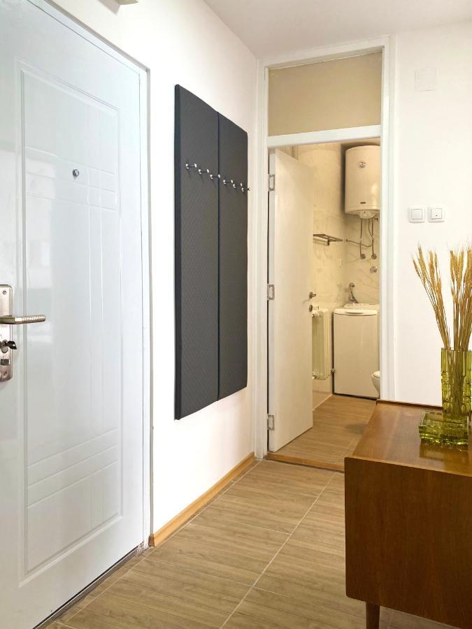 Apartman Milica Apartment Nis Bagian luar foto