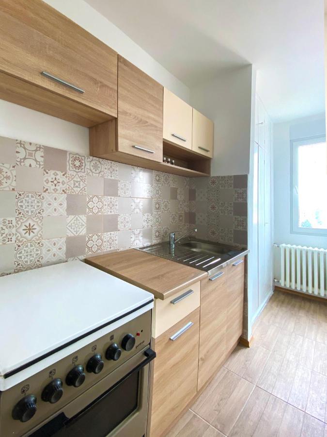 Apartman Milica Apartment Nis Bagian luar foto